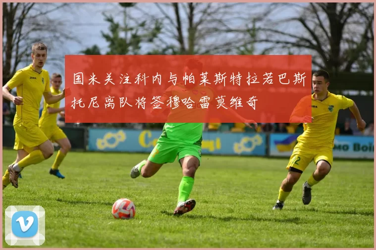 国米关注科内与帕莱斯特拉若巴斯托尼离队将签穆哈雷莫维奇